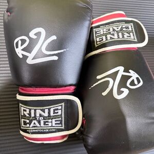Red and Black Boxing Gloves